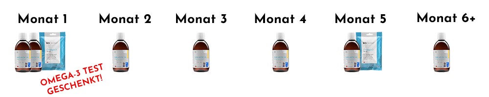 Das 6-Monate Gesundheitskonzept